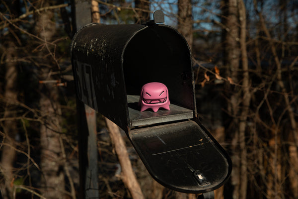 pink Mr. Fangs acrylic toy figurine in the mailbox